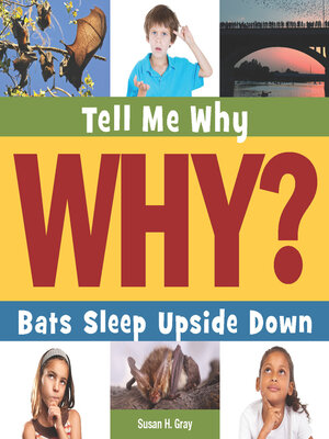 cover image of Bats Sleep Upside Down